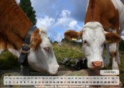 Kalender Auf der Alm 01