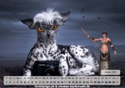 Kalender Fotomontagen 2