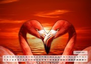 Kalender Tiere 02