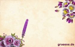 animationen-glueckwuensche-geburtstag_010