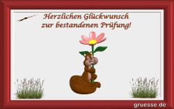 animationen-glueckwuensche-pruefung_002