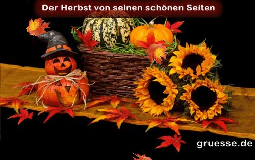 animationen-zeiten-herbst_003