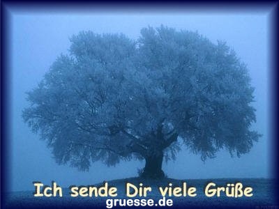 grusskarte-grusskarten-klassisch-romantisches-k_008
