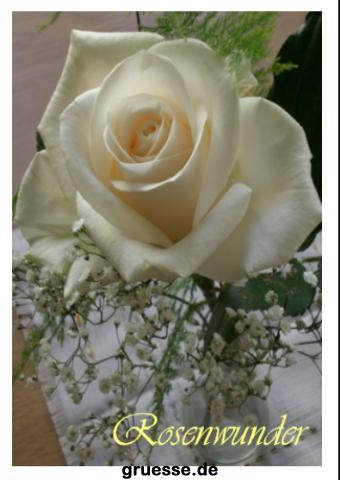 grusskarte-Traumschiff-Blumengruesse-k_022