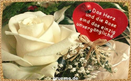 grusskarte-Traumschiff-Blumengruesse-k_028