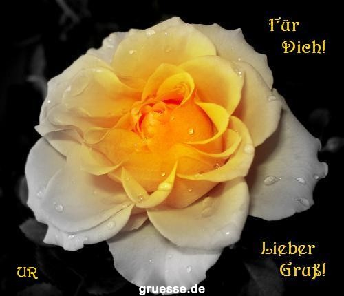 grusskarte-Traumschiff-Blumengruesse-k_039