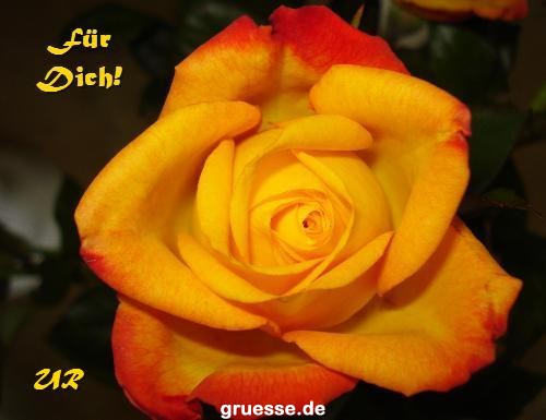 grusskarte-Traumschiff-Blumengruesse-k_041