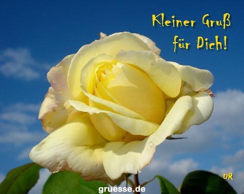 grusskarte-Traumschiff-Blumengruesse-k_045