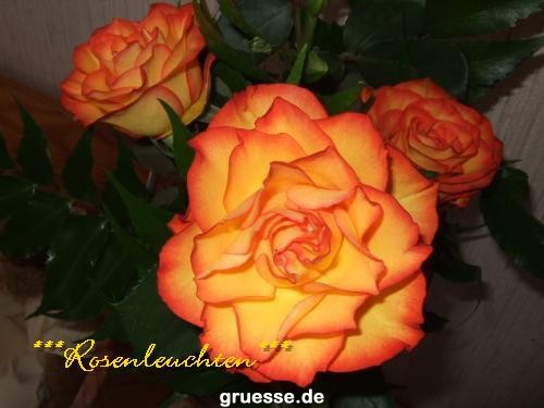 grusskarte-Traumschiff-Blumengruesse-k_049