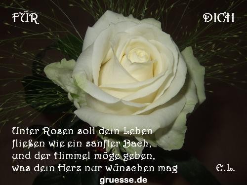 grusskarte-Traumschiff-Blumengruesse-k_050