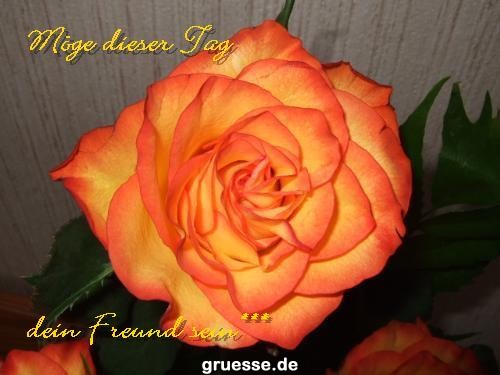 grusskarte-Traumschiff-Blumengruesse-k_052