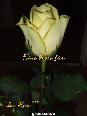 grusskarte-Traumschiff-Blumengruesse-k_053