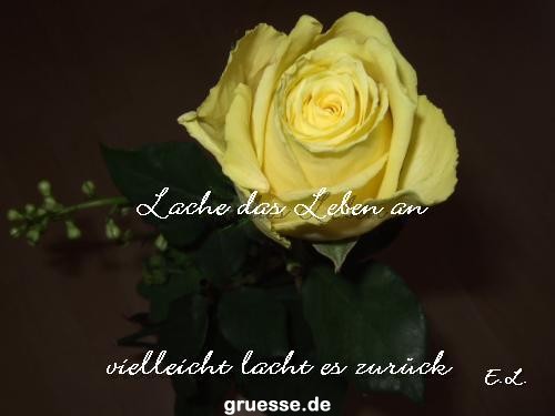 grusskarte-Traumschiff-Blumengruesse-k_054