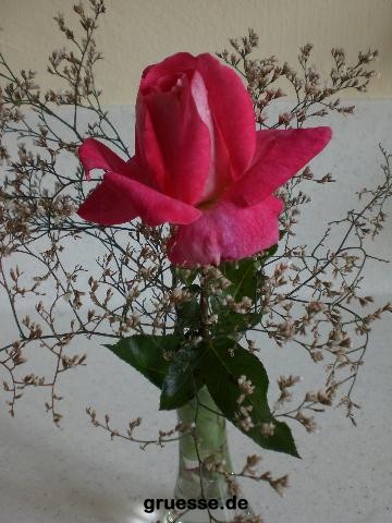 grusskarte-Traumschiff-Blumengruesse_002