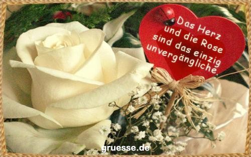 grusskarte-Traumschiff-Blumengruesse_028