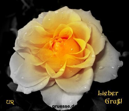 grusskarte-Traumschiff-Blumengruesse_038