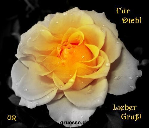 grusskarte-Traumschiff-Blumengruesse_039