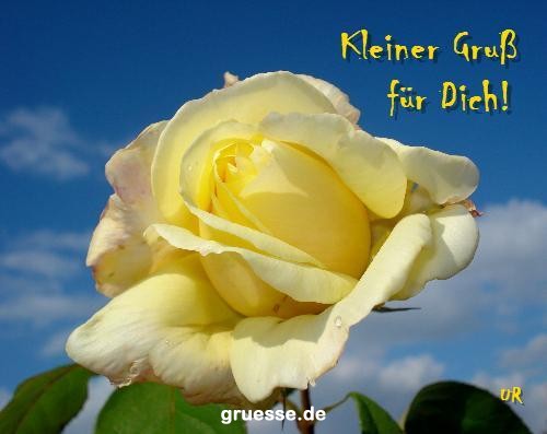 grusskarte-Traumschiff-Blumengruesse_045