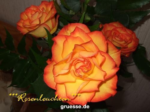 grusskarte-Traumschiff-Blumengruesse_049