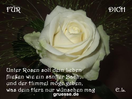 grusskarte-Traumschiff-Blumengruesse_050