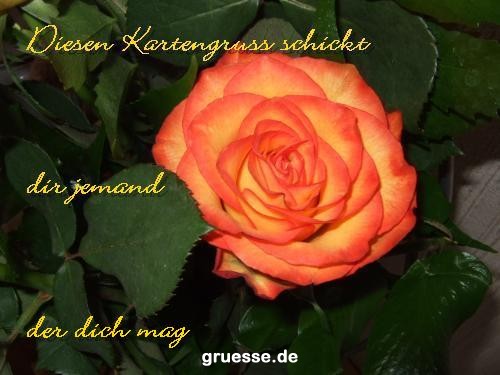 grusskarte-Traumschiff-Blumengruesse_051