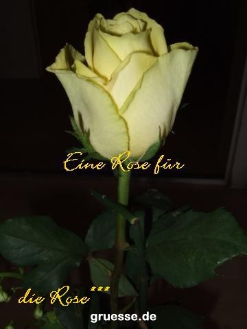 grusskarte-Traumschiff-Blumengruesse_053