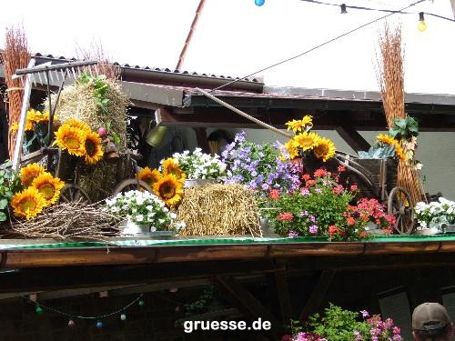 grusskarte-Traumschiff-Blumengruesse_056