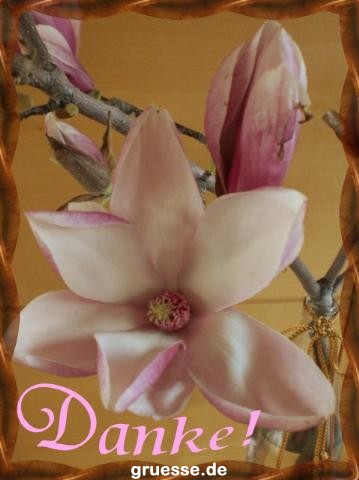 grusskarte-Traumschiff-Danke-k_004