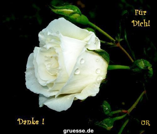 grusskarte-Traumschiff-Danke-k_011