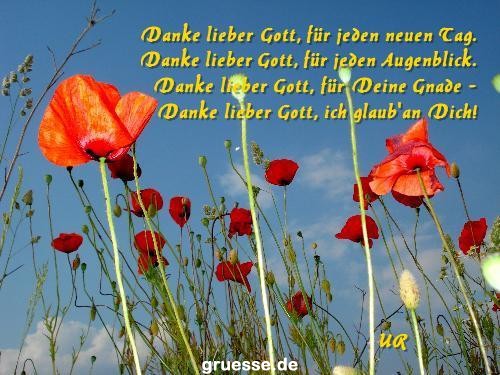 grusskarte-Traumschiff-Danke-k_012