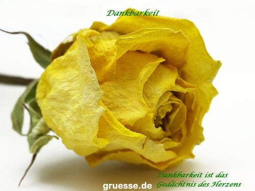 grusskarte-Traumschiff-Danke-k_014