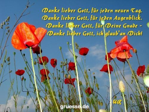 grusskarte-Traumschiff-Danke_012