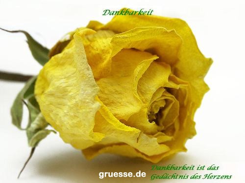 grusskarte-Traumschiff-Danke_014