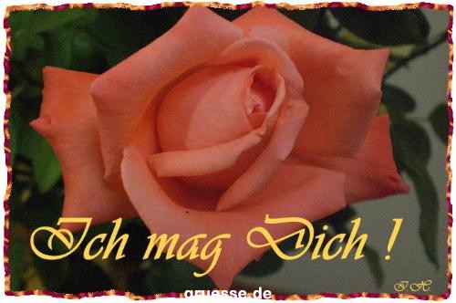 grusskarte-Traumschiff-Freundschaft-k_002