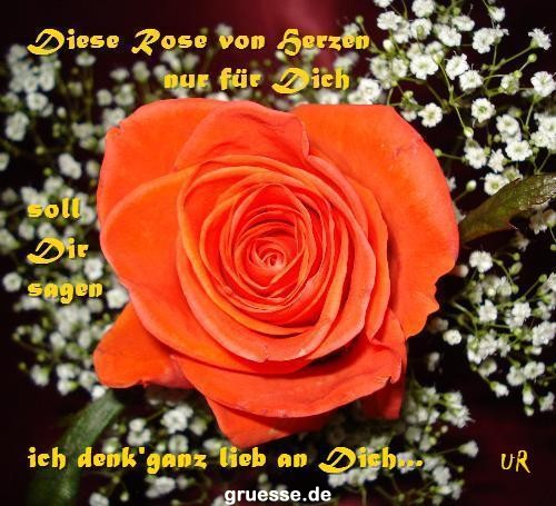 grusskarte-Traumschiff-Freundschaft-k_013