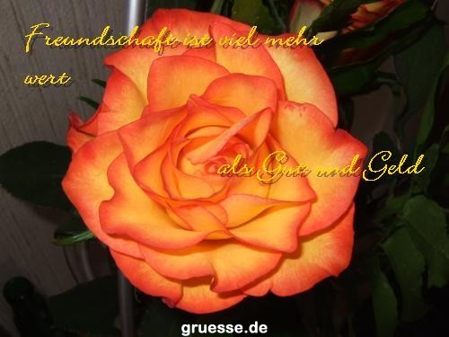 grusskarte-Traumschiff-Freundschaft-k_014