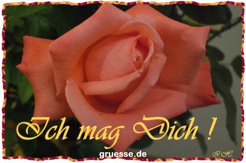 grusskarte-Traumschiff-Freundschaft_002