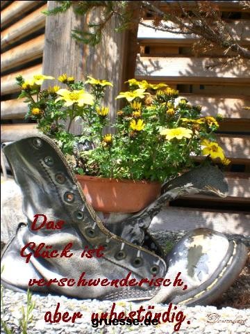 grusskarte-Traumschiff-Freundschaft_010