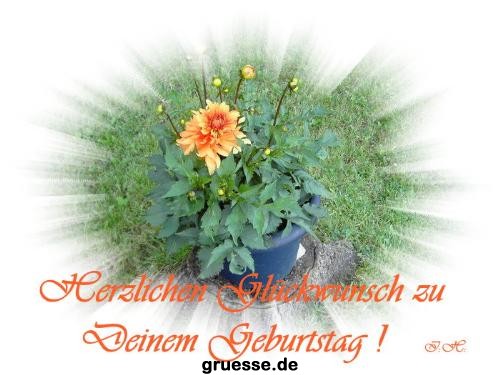 grusskarte-Glueckwuensche-Geburtstag-k_003