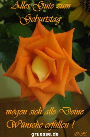 grusskarte-Glueckwuensche-Geburtstag-k_004