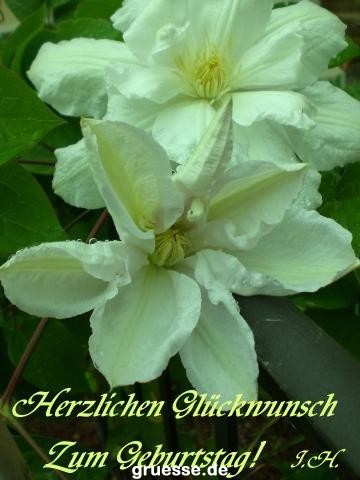 grusskarte-Glueckwuensche-Geburtstag-k_005