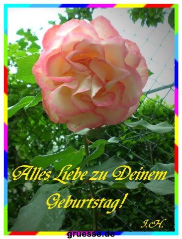 grusskarte-Glueckwuensche-Geburtstag-k_007