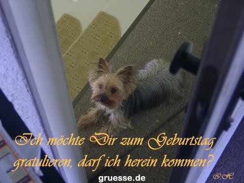 grusskarte-Glueckwuensche-Geburtstag-k_008