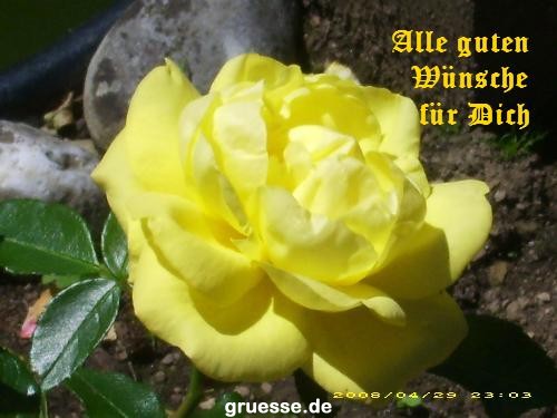 grusskarte-Glueckwuensche-Geburtstag-k_010
