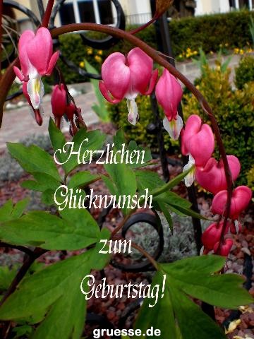 grusskarte-Glueckwuensche-Geburtstag-k_014