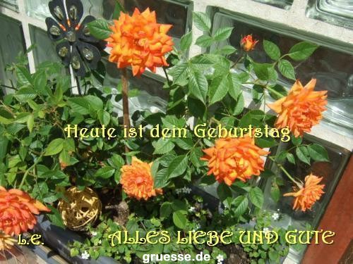 grusskarte-Glueckwuensche-Geburtstag-k_019