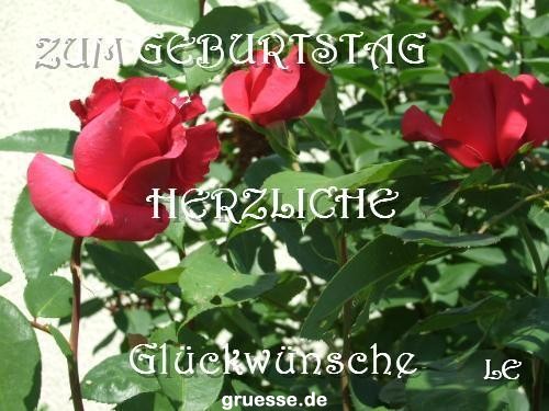 grusskarte-Glueckwuensche-Geburtstag-k_020