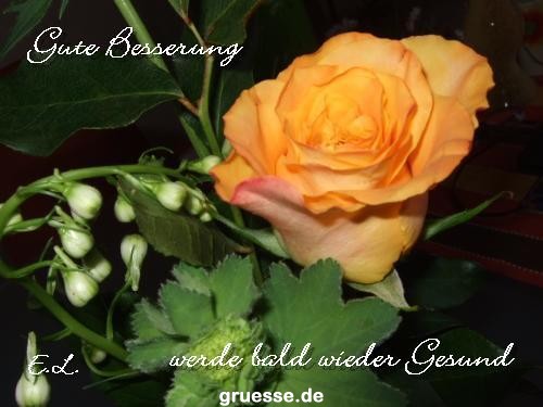 grusskarte-Traumschiff-Gute-Besserung-k_003