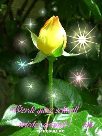 grusskarte-Traumschiff-Gute-Besserung_001