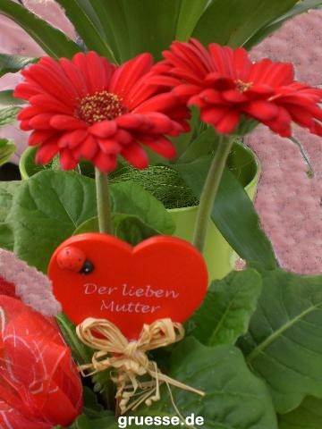 grusskarte-Glueckwuensche-Muttertag-k_008